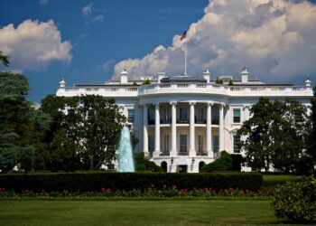 In policy paper, OpenAI diverges from White House on AI safety